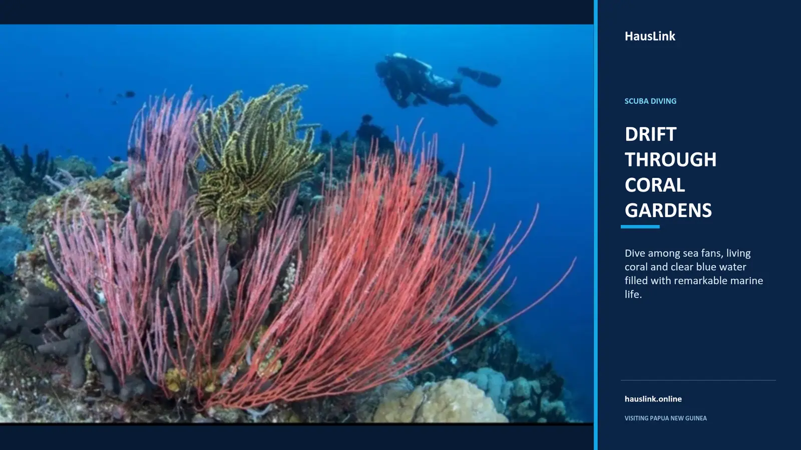 Scuba diver drifting above red sea fans and coral gardens in clear Papua New Guinea water.