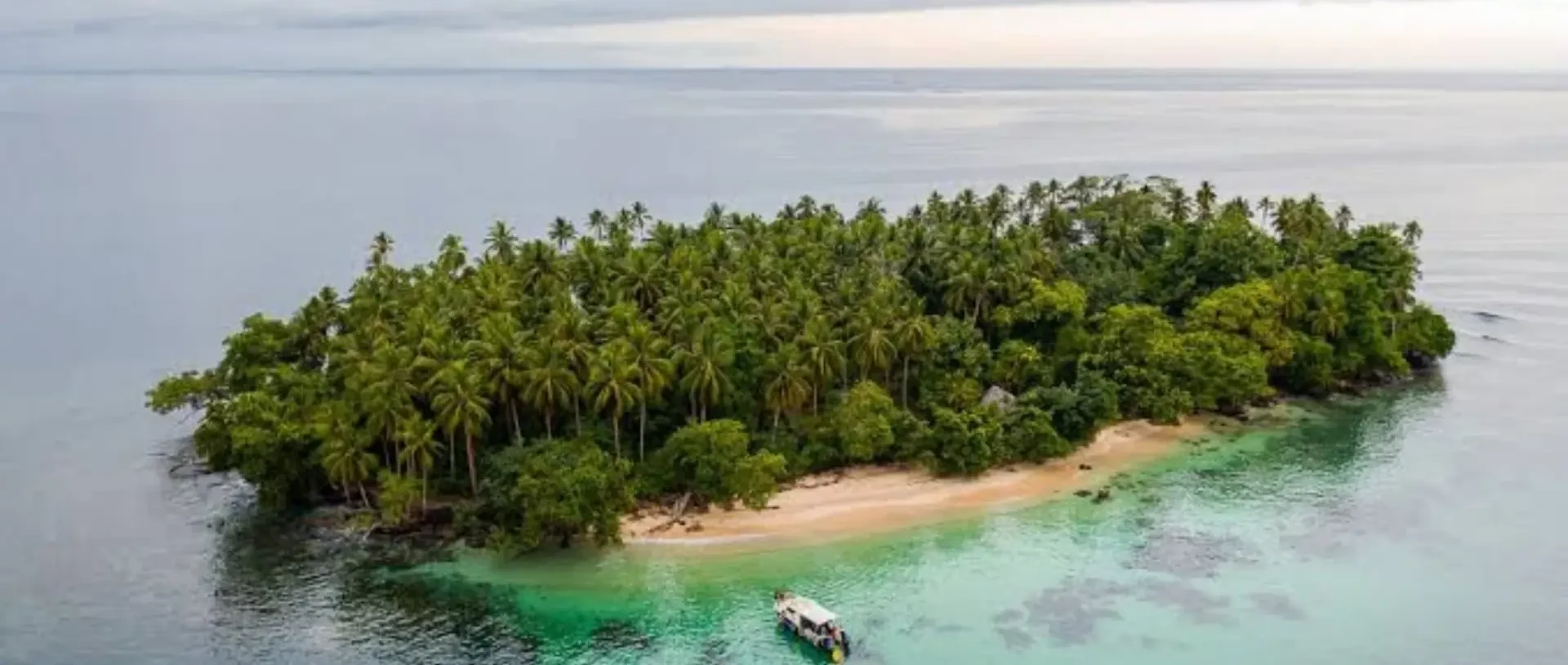 Palm-covered island ringed by turquoise water off the Madang coast.